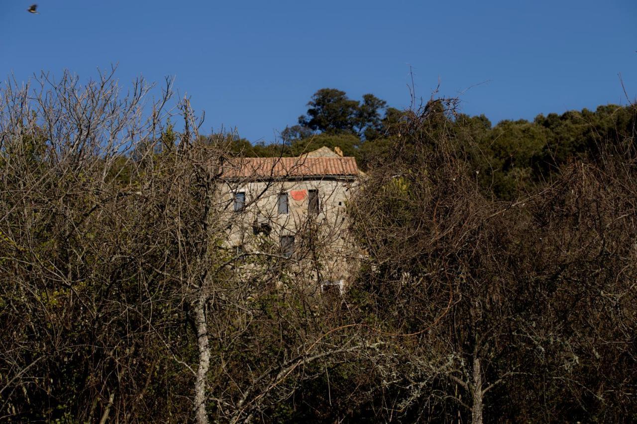 Grosseto-Prugna Casa Giacometti מראה חיצוני תמונה